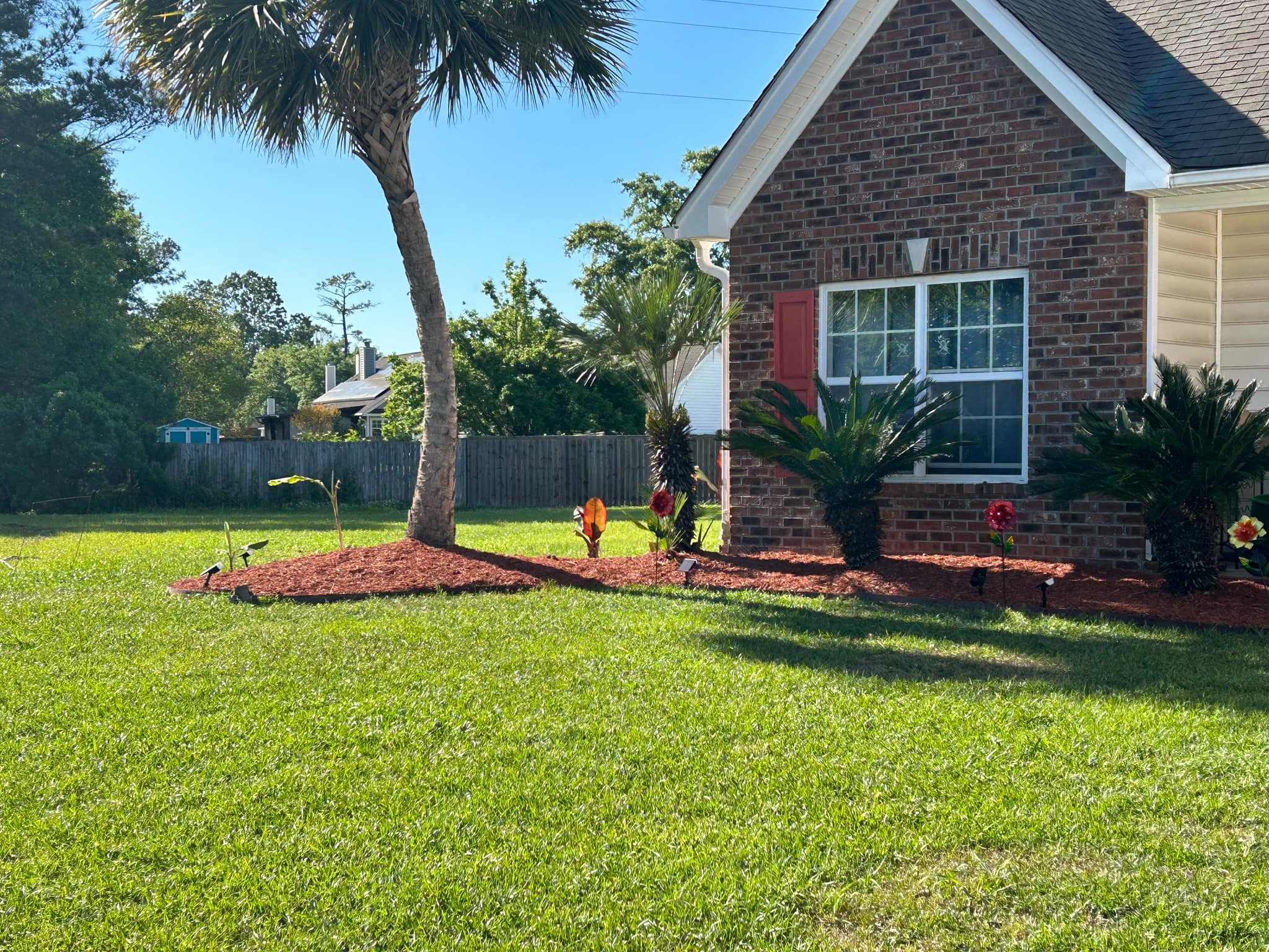 Mulch, Palm Tree, Landscape Edging